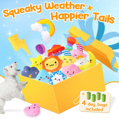 QTwoof weather-toy-moon-stars excites puppies with varied textures and cheerful squeaks.