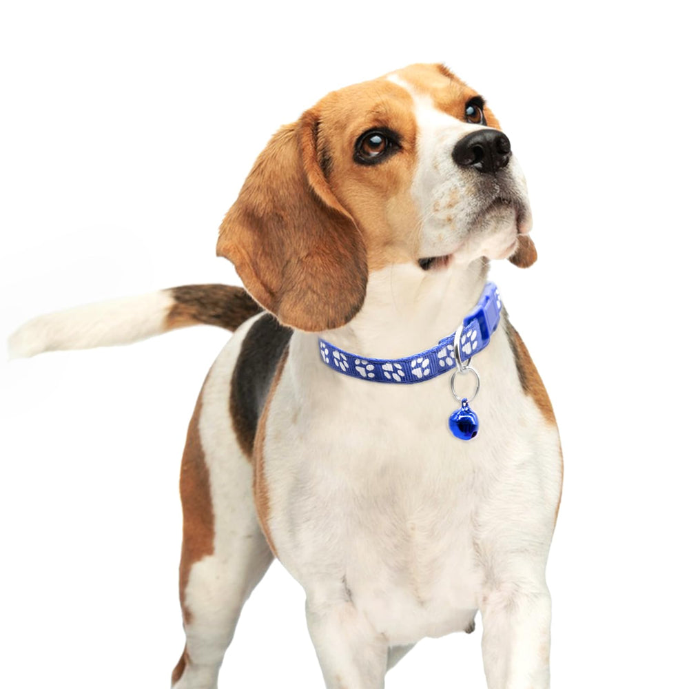 Quacc paw-print purple collar offers a comfortable fit for growing puppies.