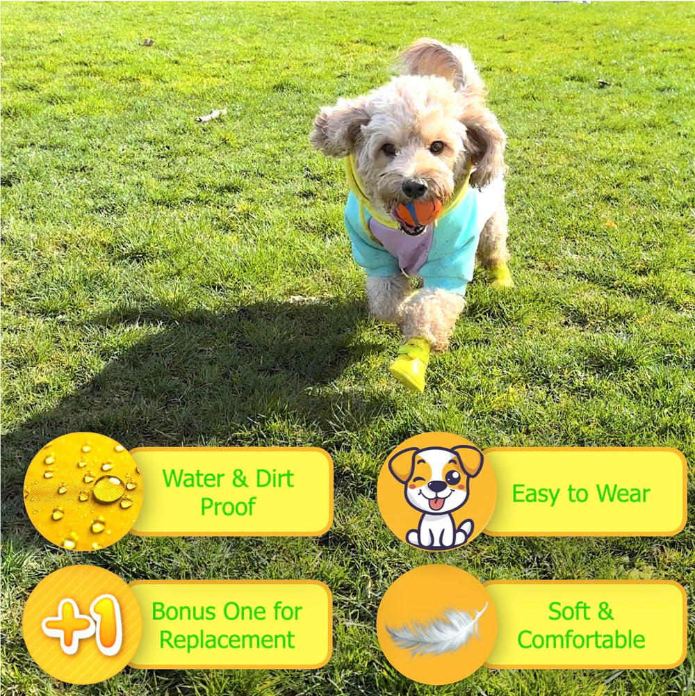 Quality Life Hack waterproof dog boots closeup highlights mud resistance for rainy strolls.
