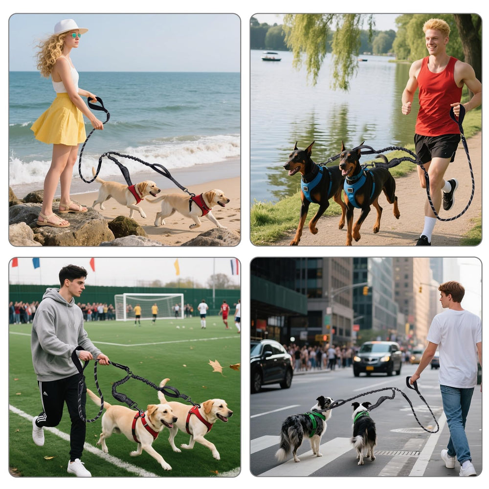 QUAN DUO DUO two-dog setup suitable for walking, running, hiking.