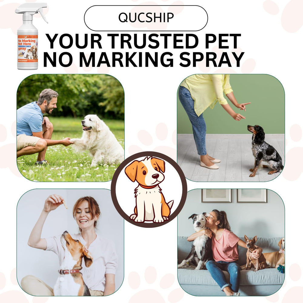 Qucship No More Marking Spray 8oz bottle offers versatile, ready-to-use training aid.