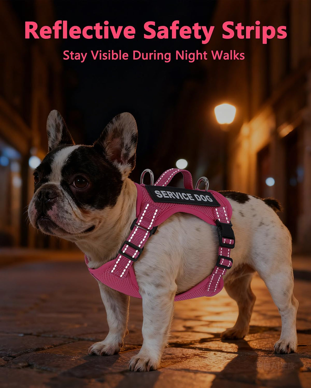 QUDLIMO service dog vest size chart close-up helps you pick the right fit