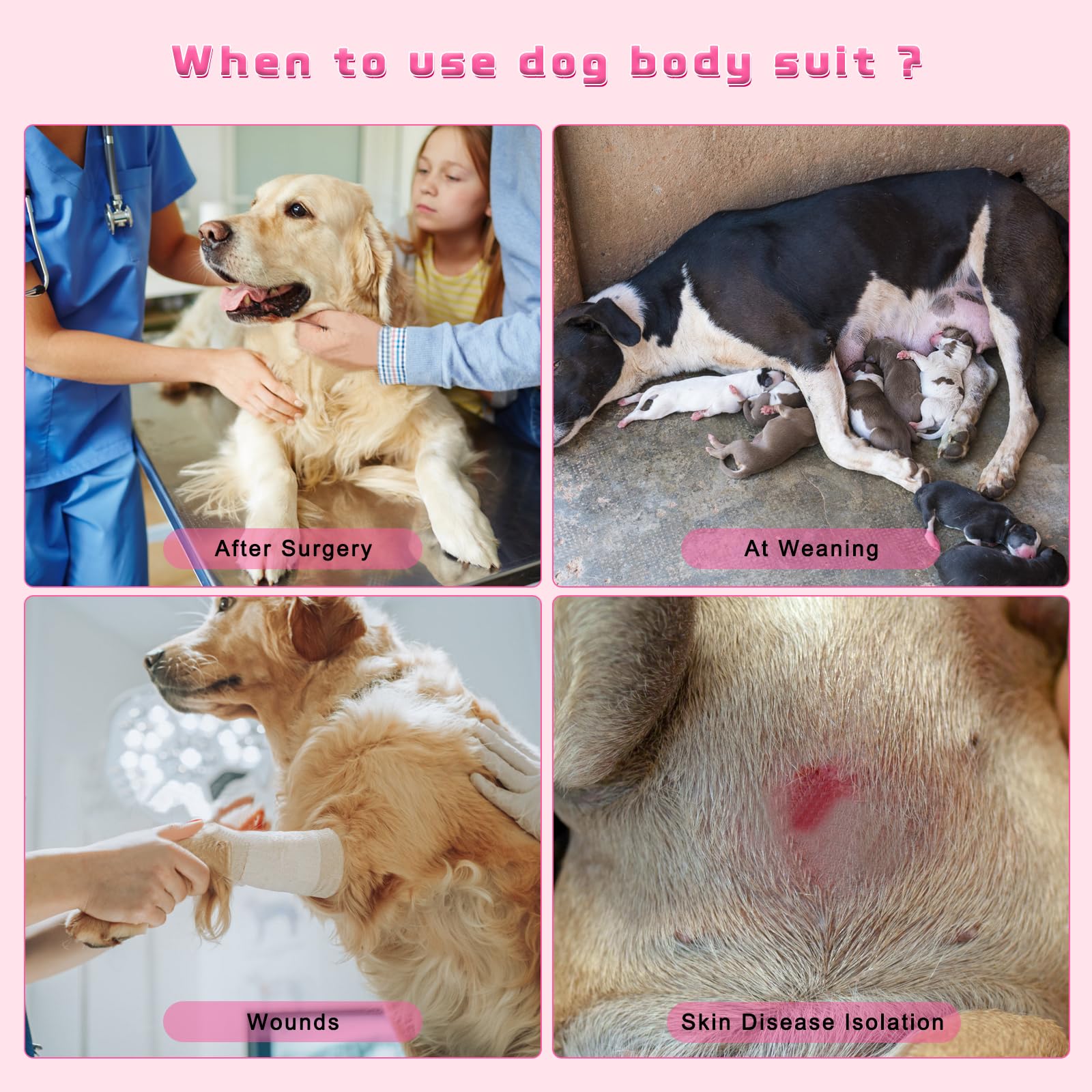 QUEARN dog recovery onesie as a cone alternative for post-surgery comfort