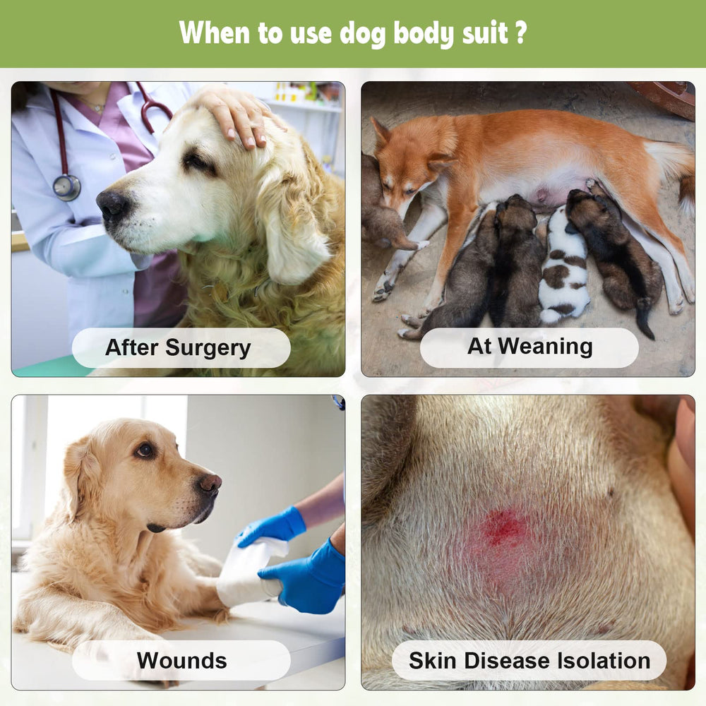 QUEARN dog recovery suit back view highlights full coverage for wound protection.
