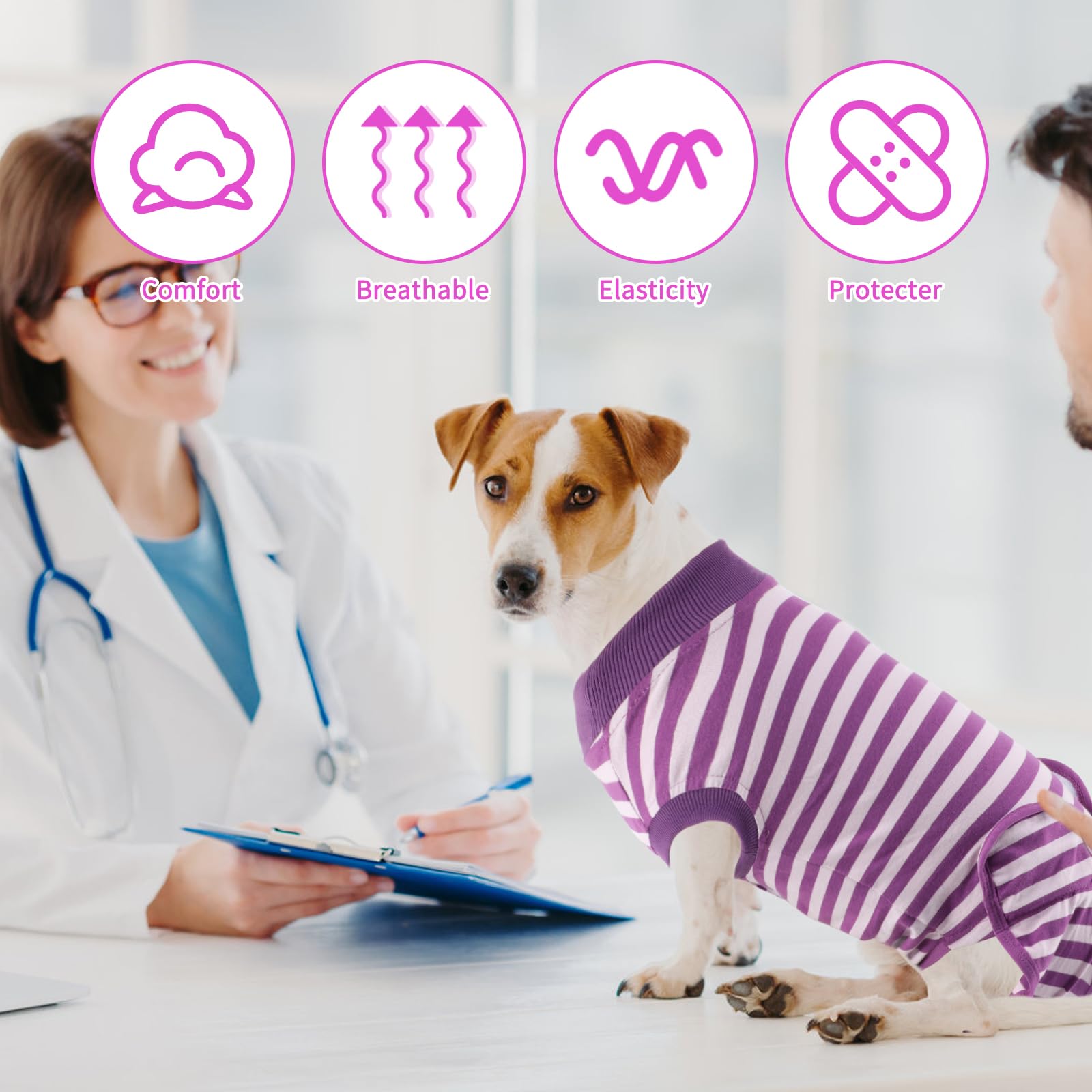 QUEARN dog recovery suit supports postoperative use with easy care and long-wearing fabric