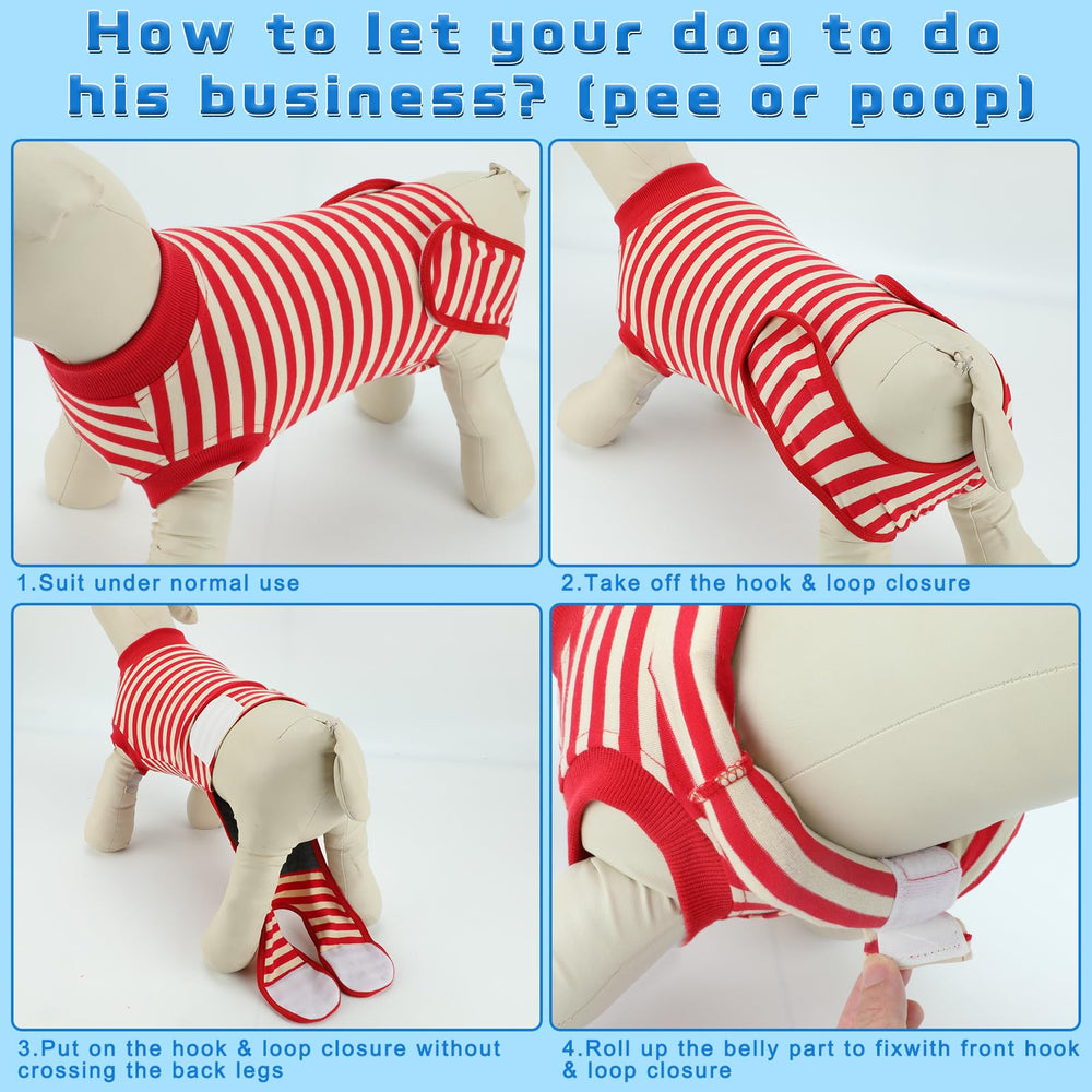QUEARN dog surgery onesie worn demonstrates freedom to eat and move