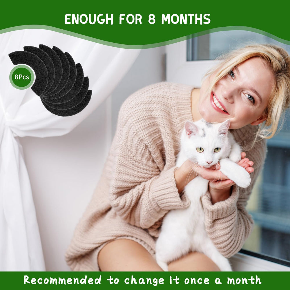 QUEARN home fresh air setup shows how filters help keep spaces smelling clean.