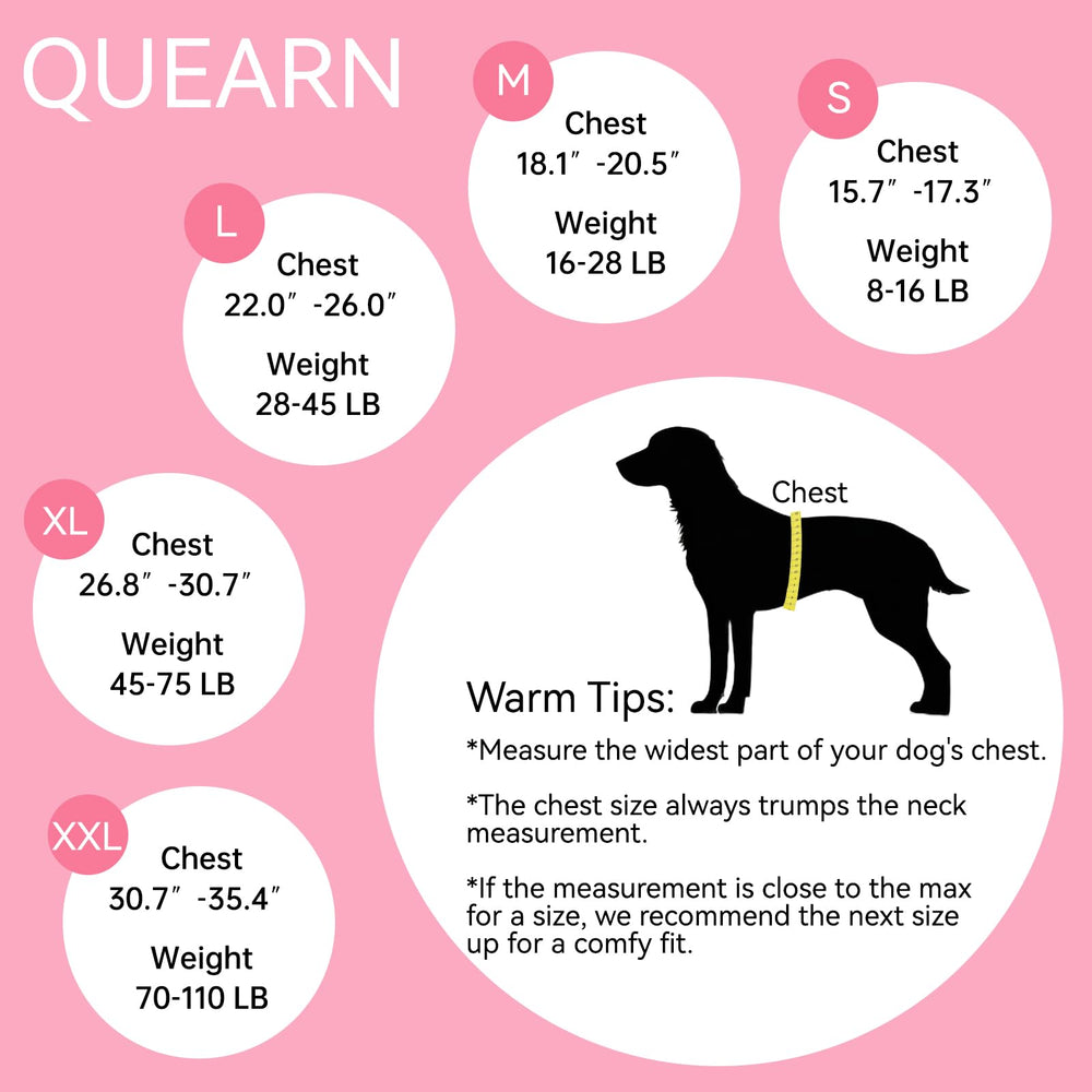 QUEARN pet recovery suit protects wounds from licking and scratching during healing