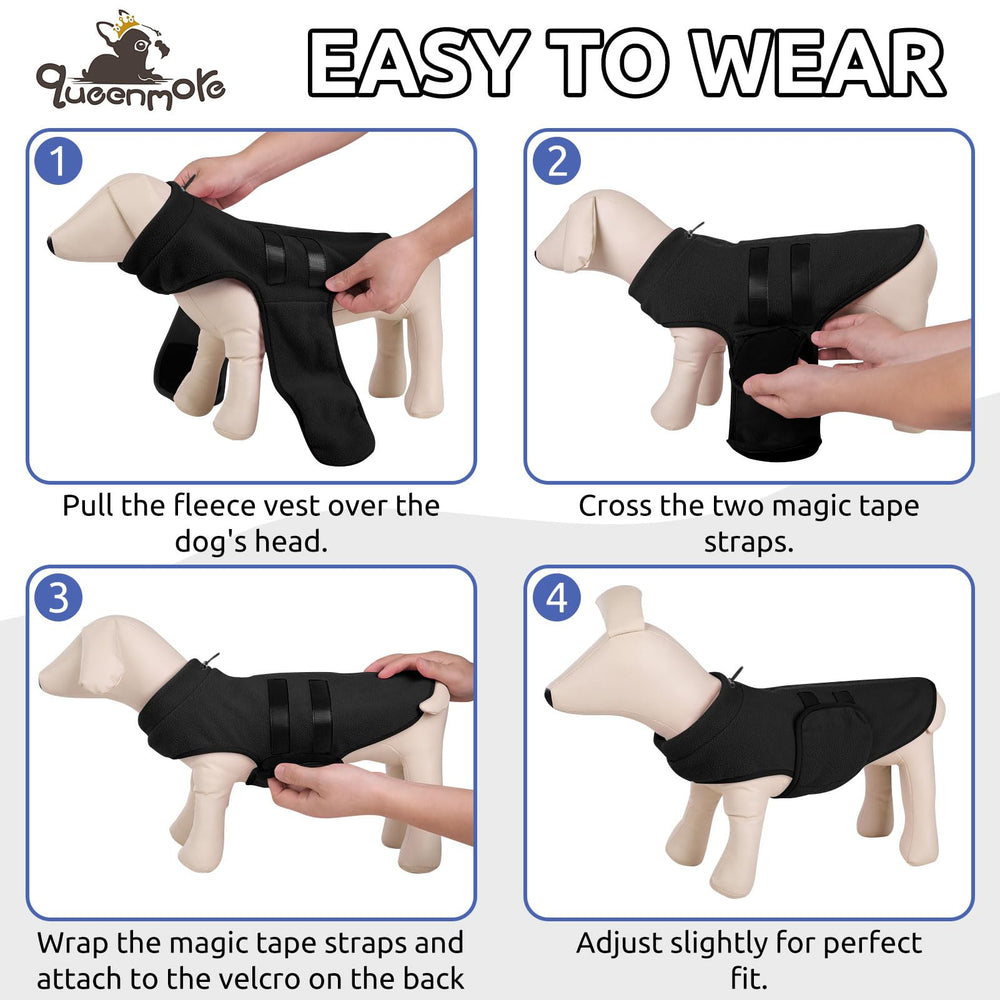 Queenmore black dog sweater ribbon detail adds stylish flair for daily wear