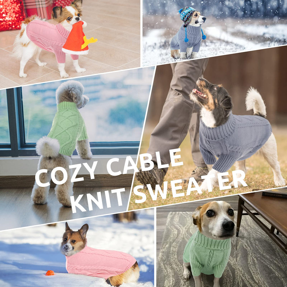 Queenmore brand-logo-closeup signals reliable, quality dogwear for daily wear.