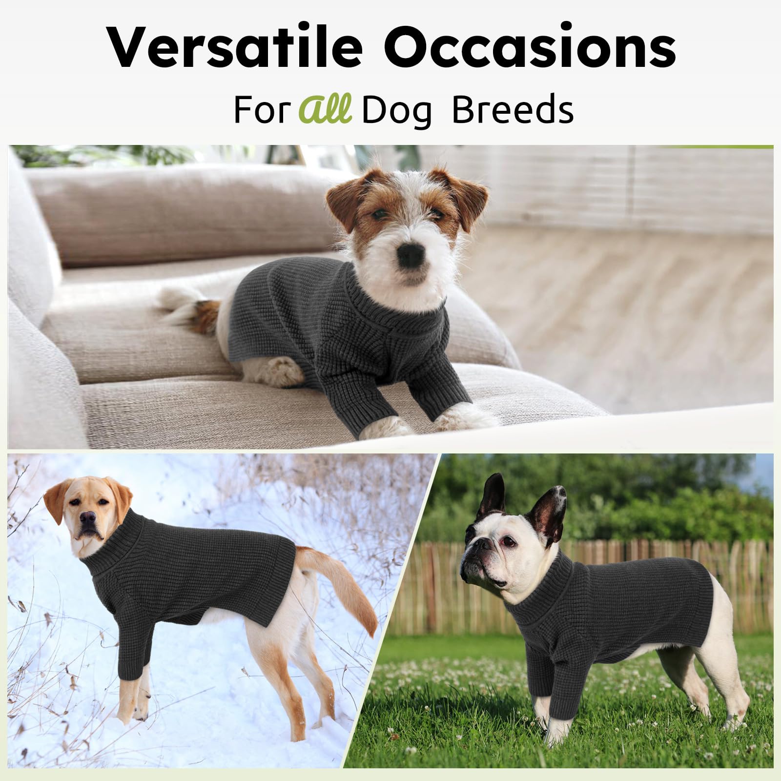 Queenmore cat sweater charcoal gray style preview shows cozy knit for pets.