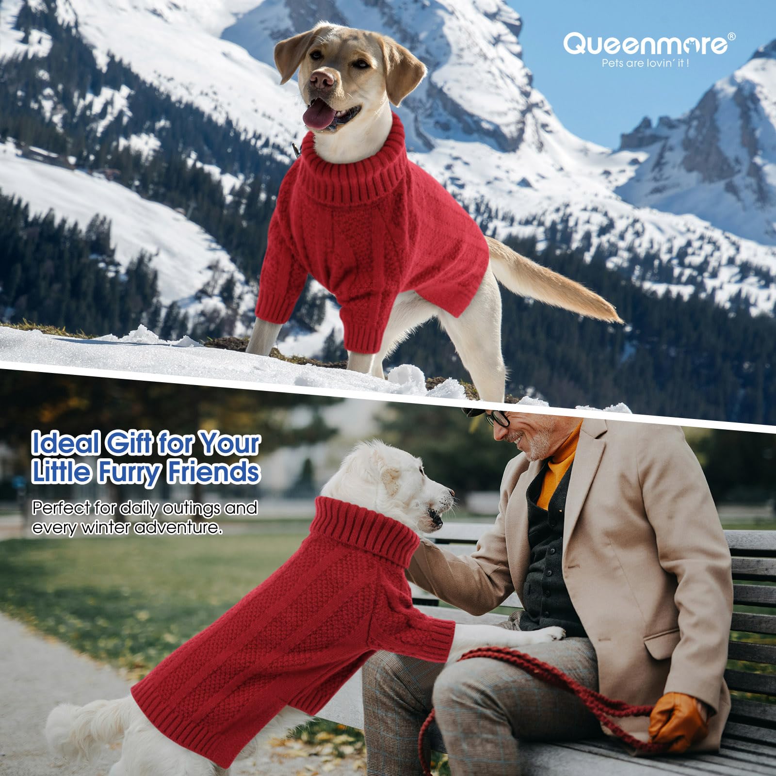 Queenmore Christmas dog sweater on festive setting showcases versatile holiday wardrobe.