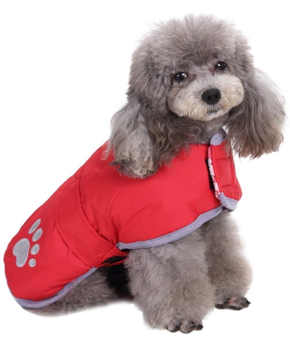 Queenmore cold-weather coat front view for cozy warmth on chilly walks.