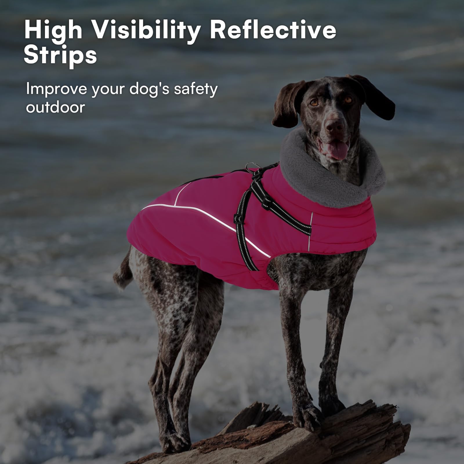 Queenmore cold-weather dog coat with plush lining for added warmth