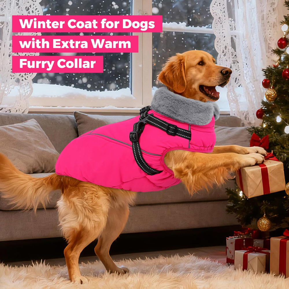 Queenmore dachshund-friendly coat offers comfortable fit across sizes
