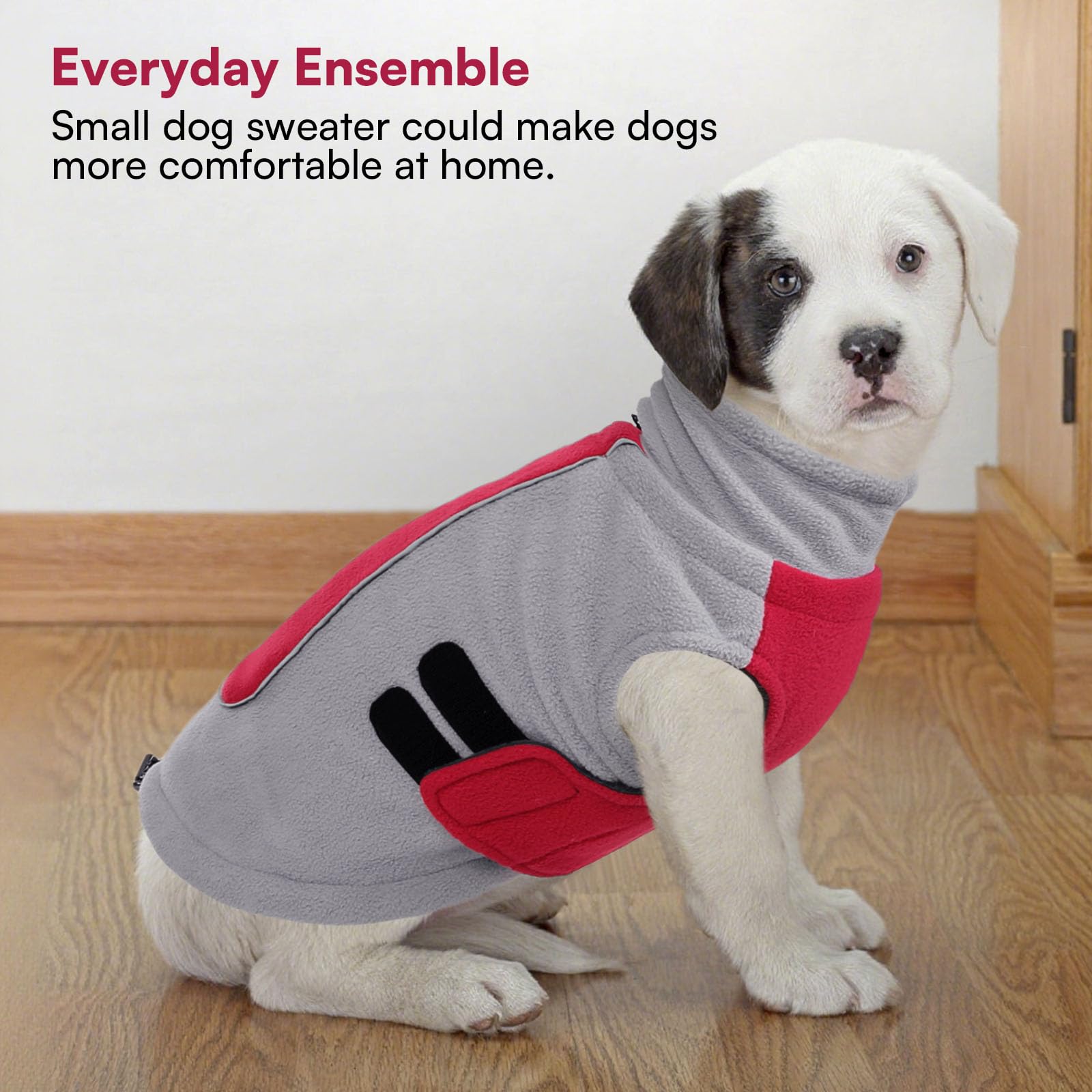 Queenmore daily-use dog sweater festive design suitable for holidays and everyday warmth.