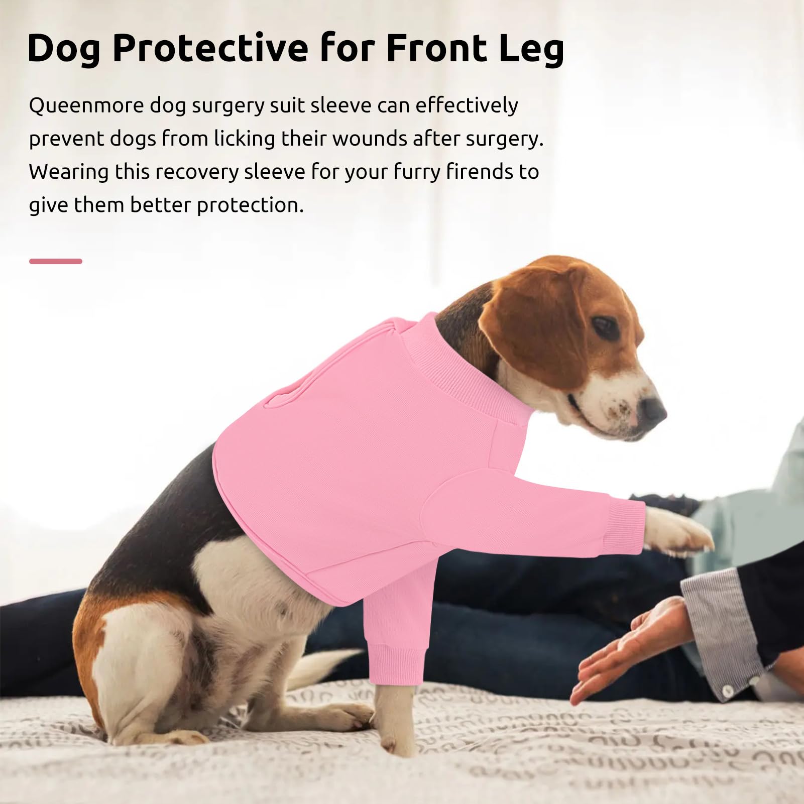 Queenmore diseño multifuncional para protección diaria del perro.