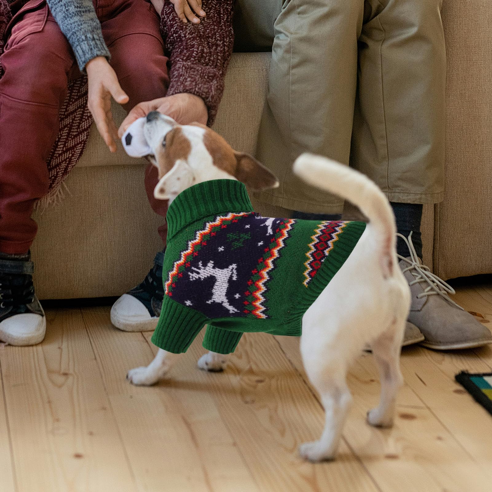 Queenmore elastic-fit knit provides comfortable stretch for dogs of various sizes