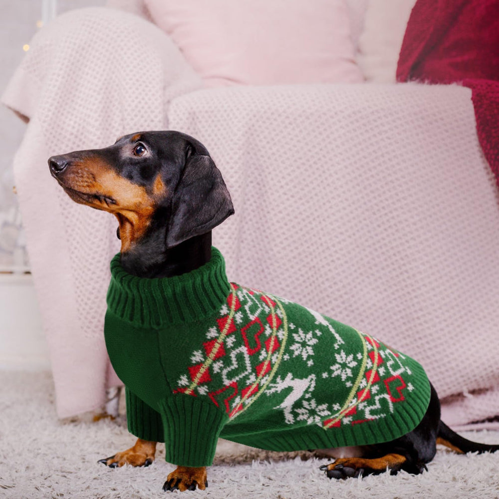 Queenmore dog Christmas sweater high-collar neck close-up highlights warmth and comfort