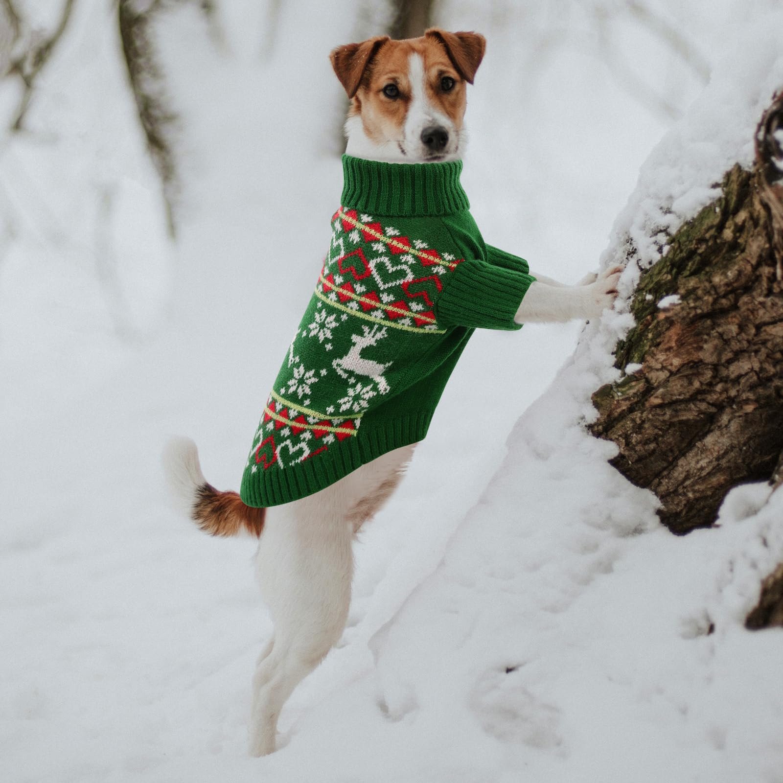 Queenmore dog Christmas sweater leash hole detail enables easy outdoor walks
