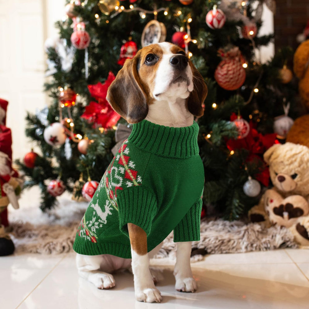 Queenmore dog Christmas sweater tailored for small breeds like Chihuahuas and Shih Tzus.
