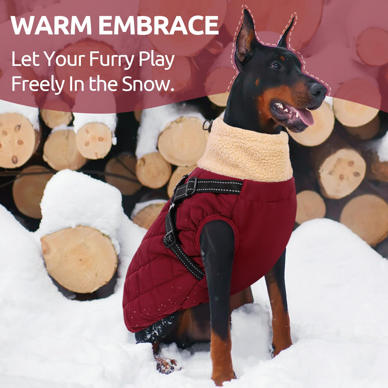 Queenmore dog coat back zipper enables easy on-off dressing.