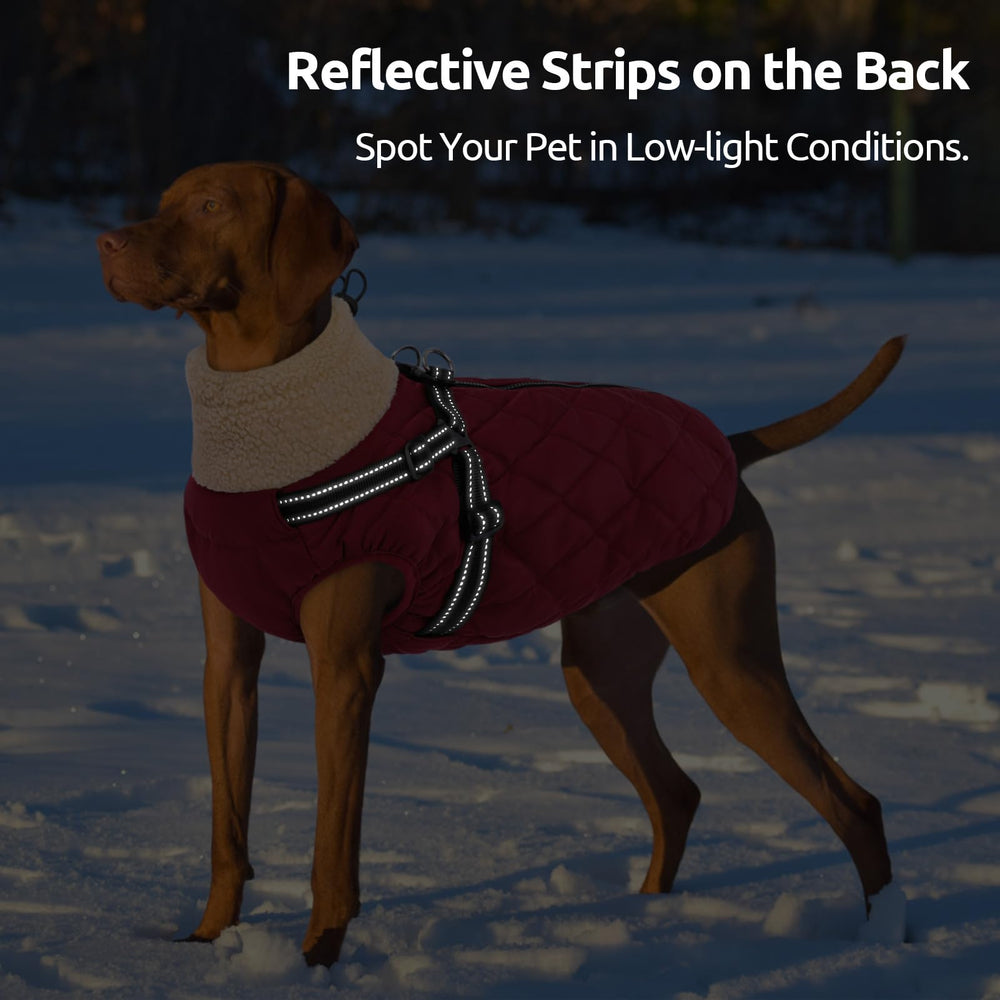 Queenmore dog coat D-ring lets you attach a leash without swapping harness.