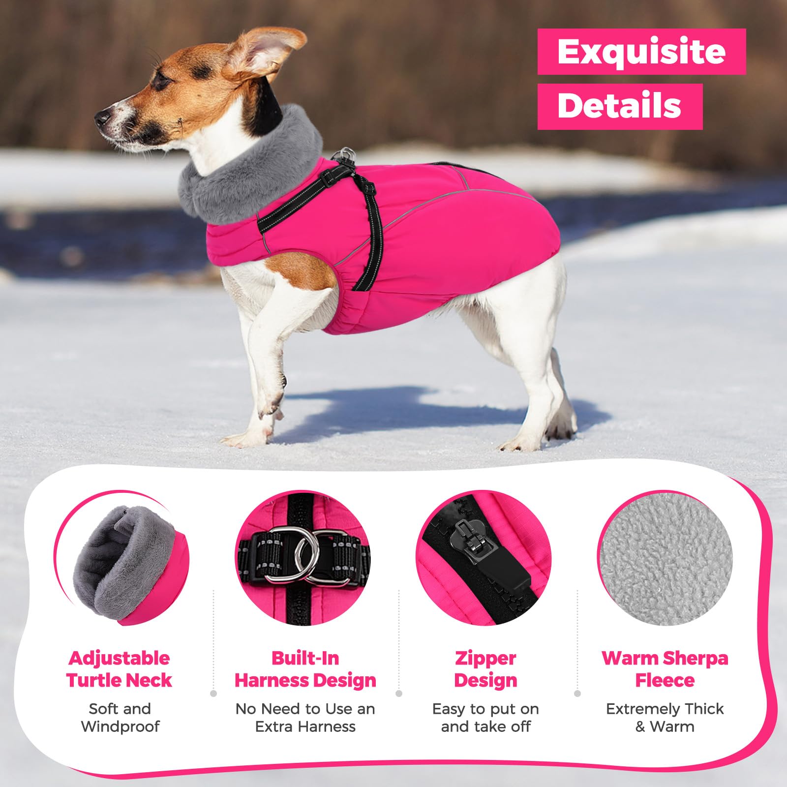 Queenmore harness-built dog coat shows easy leash connection during outdoor activities