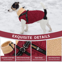 Queenmore dog coat built-in harness keeps dogs secure on adventures.