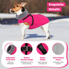 Queenmore harness-built dog coat shows easy leash connection during outdoor activities