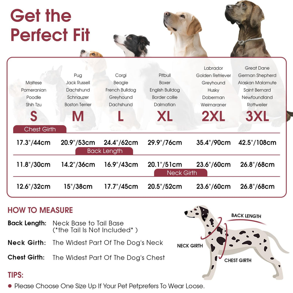 Queenmore dog coat sherpa lining adds soft warmth for cold outings.