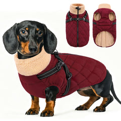 Queenmore dog coat waterproof shell shields small dogs from rain during walks.