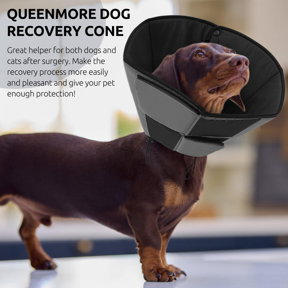 Queenmore dog cone folds flat for easy storage when not in use.