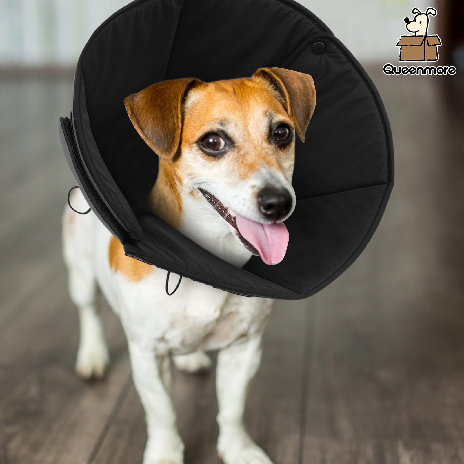 Queenmore cone sizing helps ensure neck fit for most large breeds.