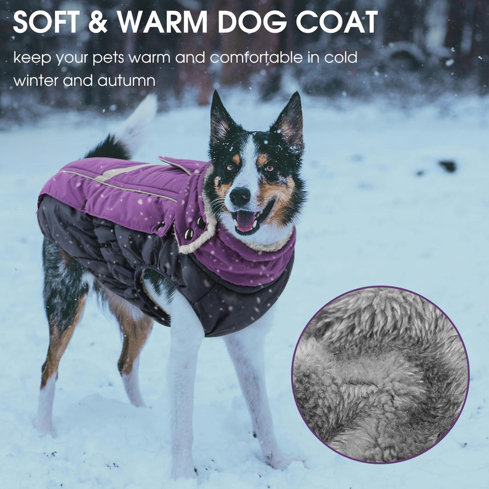 Queenmore waterproof outer shell keeps your dog dry in rain and snow.