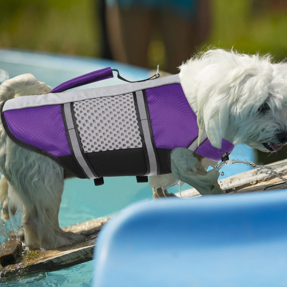 Queenmore purple life jacket shown outdoors, ready for splash friendly adventures.