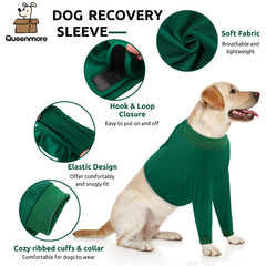 Queenmore dog recovery sleeve adjustable fasteners closeup showing easy size customization.