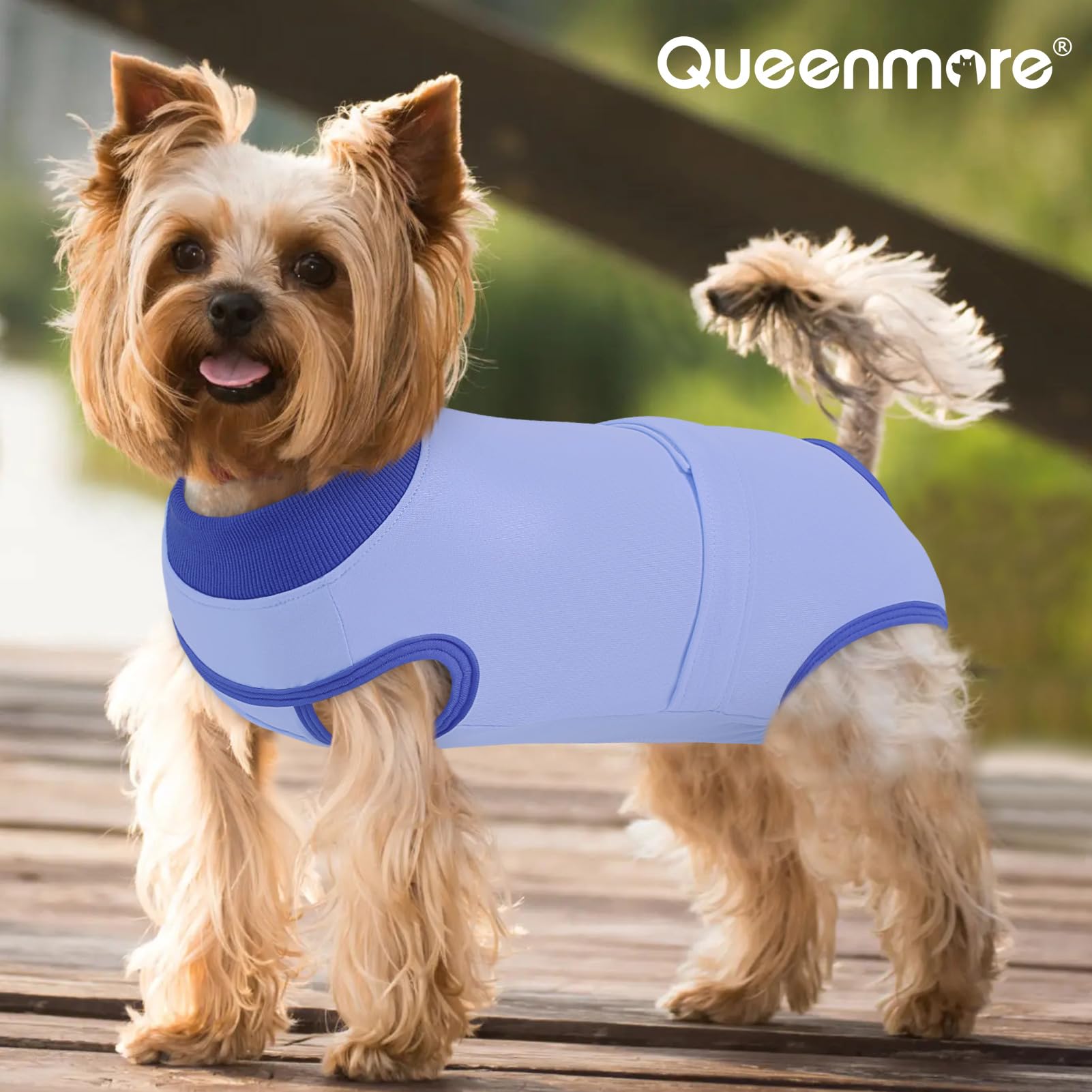 Queenmore dog recovery suit 3XL provides comfortable fit for large breeds.