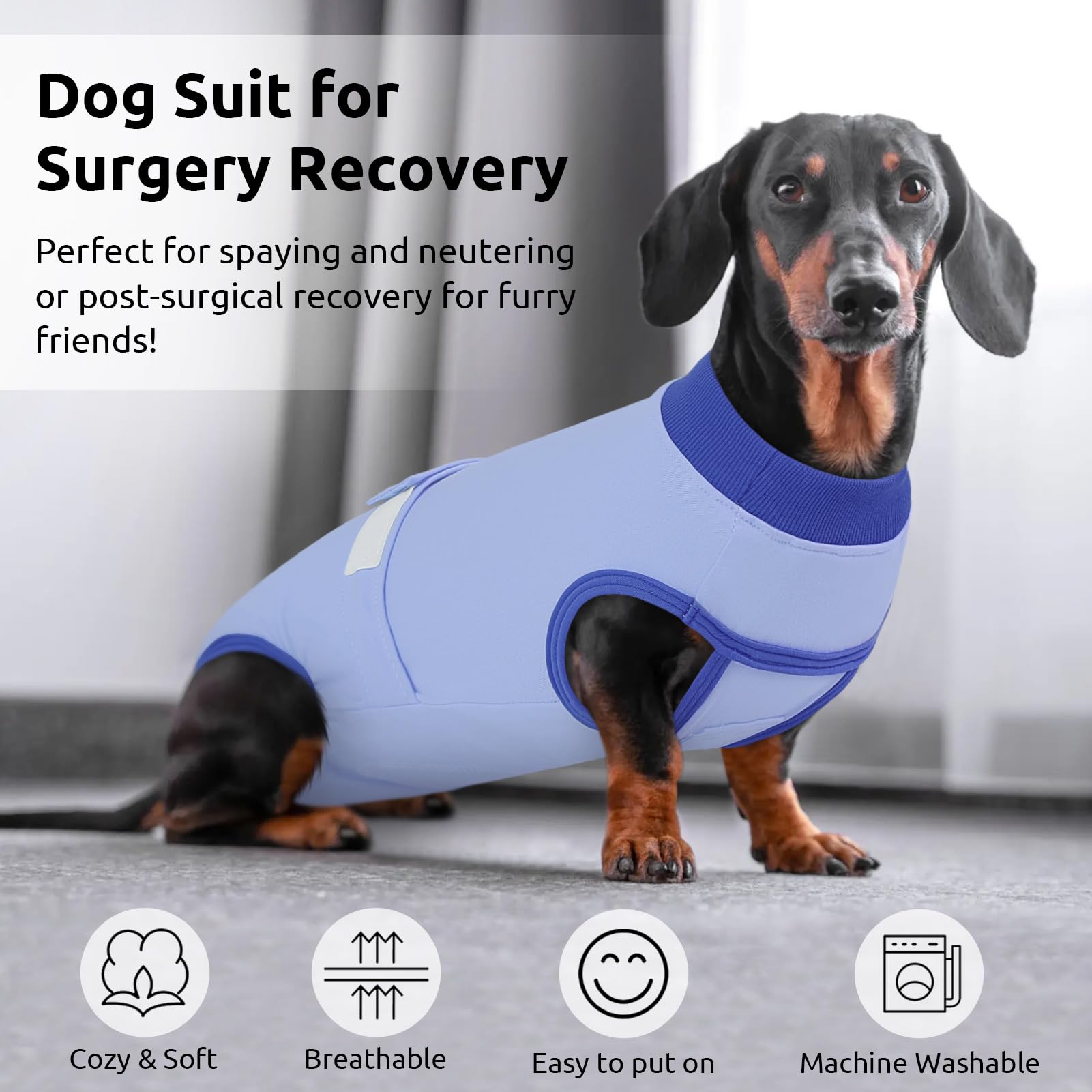 Queenmore dog recovery suit double-snap on/off for quick, stress-free dressing.