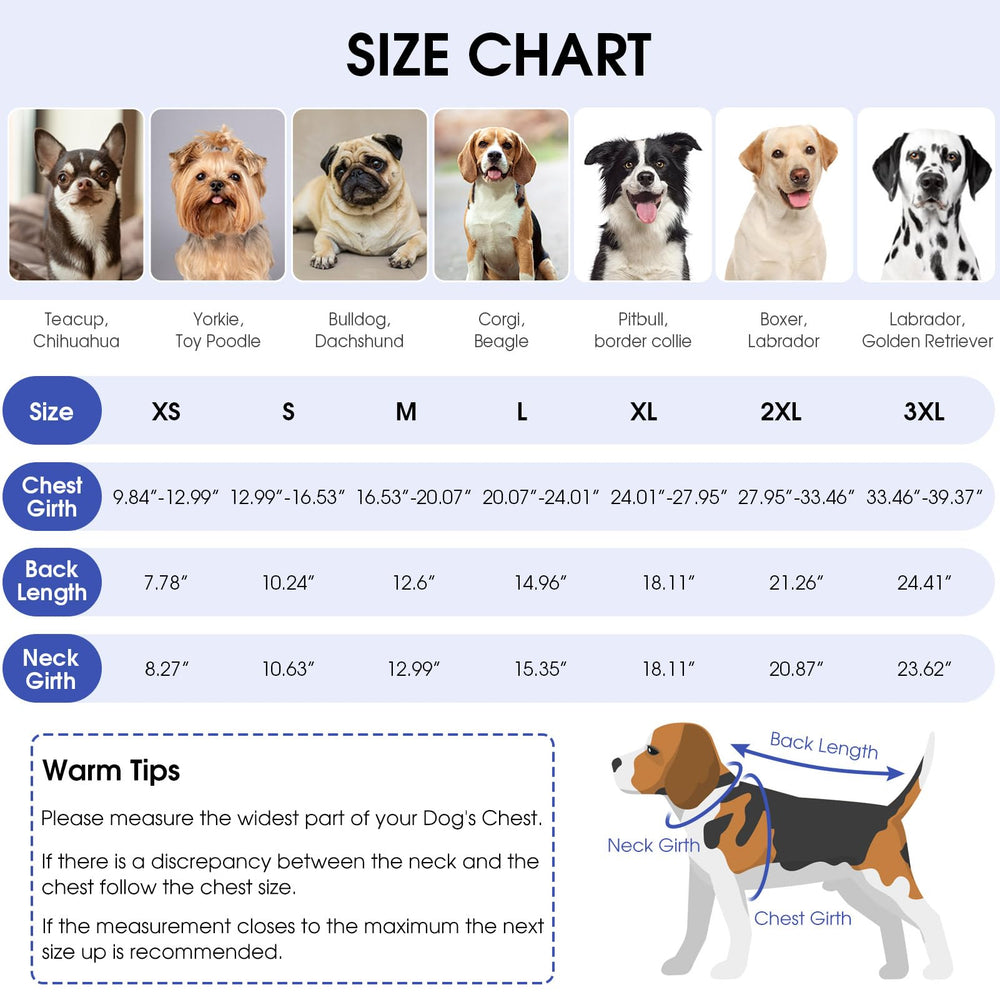 Queenmore dog recovery suit elastic neck brim ensures snug fit during healing.
