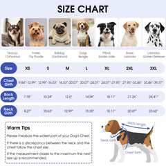 Queenmore dog recovery suit elastic neck brim ensures snug fit during healing.