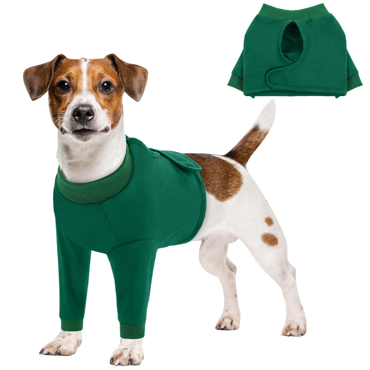 Queenmore dog surgery recovery sleeve for front legs, green, comfortable post-op protection.