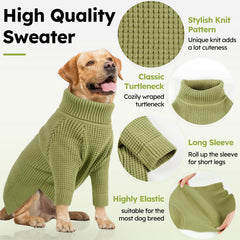 Queenmore check-pattern dog sweater on dog adds stylish warmth