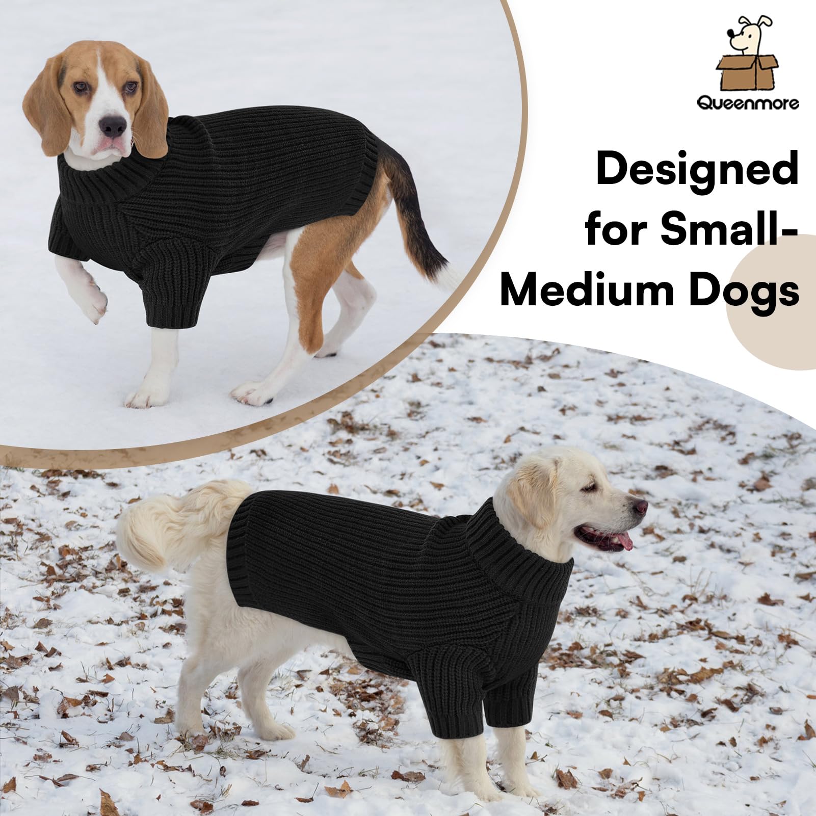 Queenmore daily-wear dog sweater as a lightweight yet warm layer.