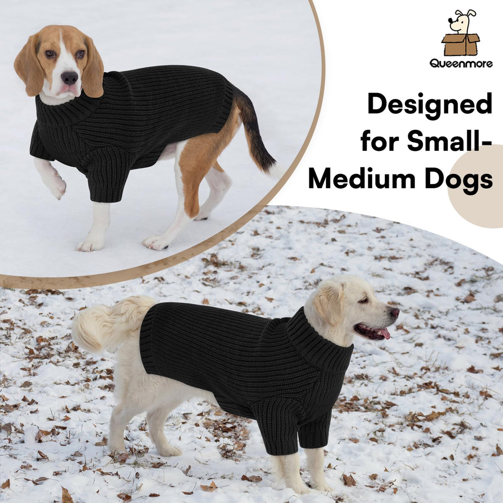 Queenmore daily-wear dog sweater as a lightweight yet warm layer.