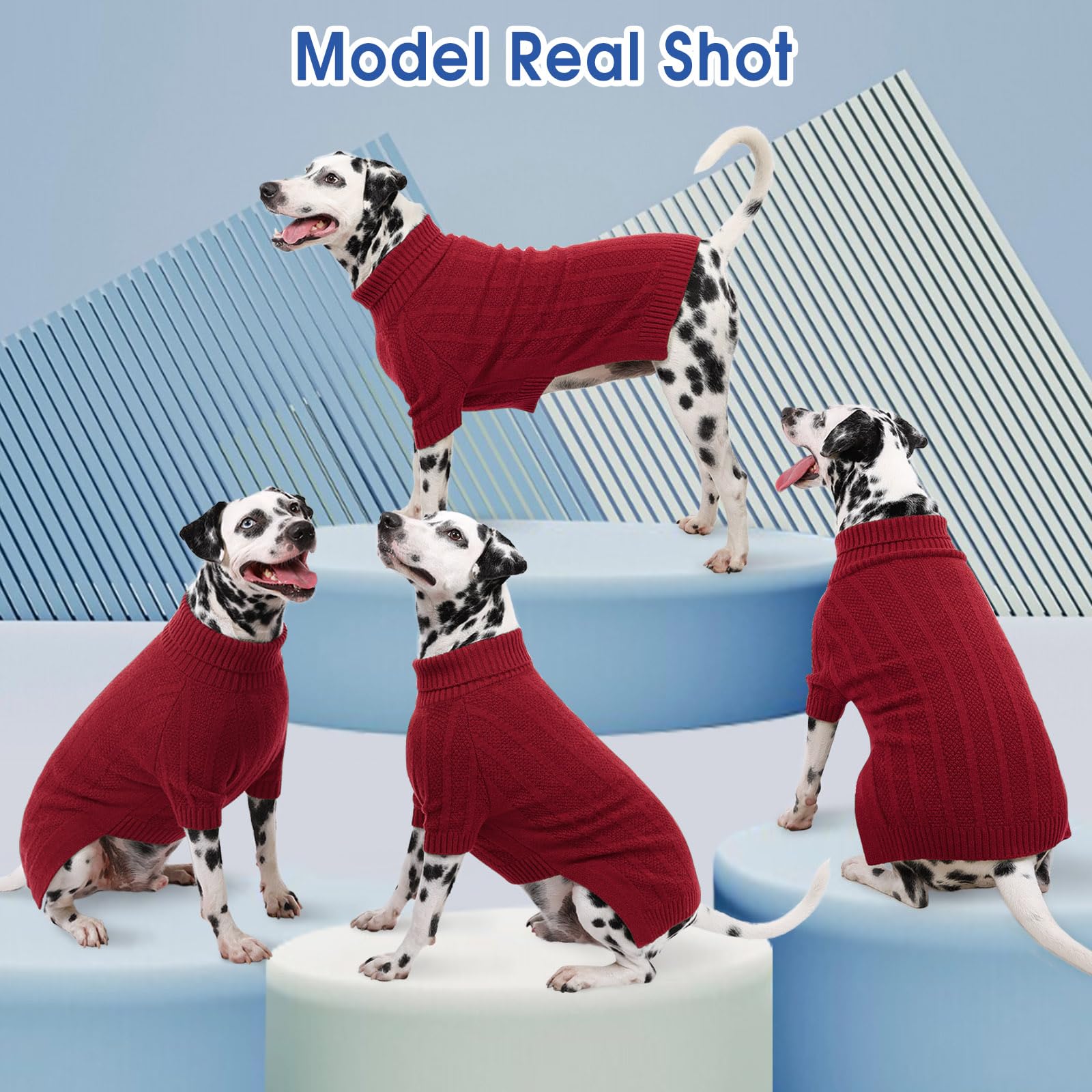 Queenmore dog sweater easy-on-off pullover demonstrated for quick dressing and potty breaks.