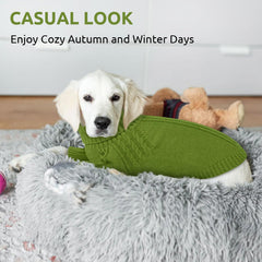 Queenmore dog sweater green pattern reveals chic cable-knit style for holiday photos