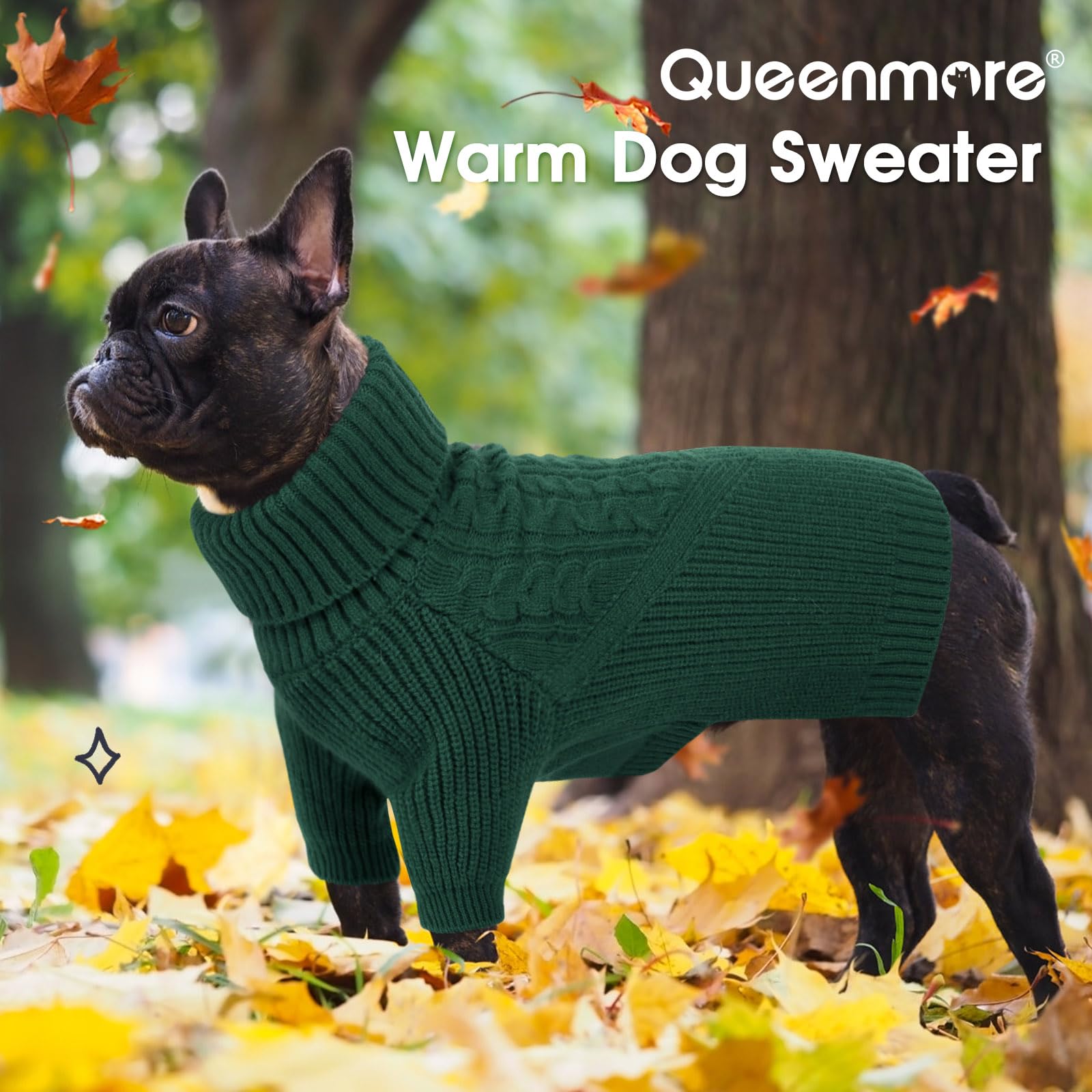 Queenmore dog sweater holiday style captures festive charm for photo shoots.
