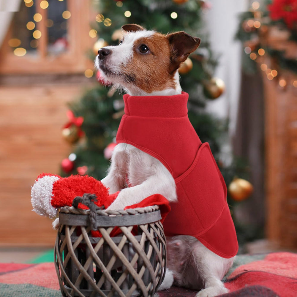 Queenmore leash-hole design and adjustable fit to secure different dogs.