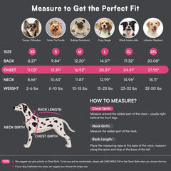 Queenmore dog sweater leash-hole back lets you walk your pup securely